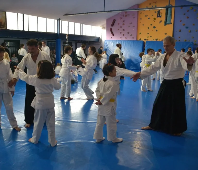 Convivencia Aikido Tanabe