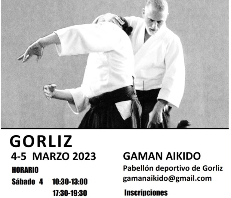 Seminario de Aikido