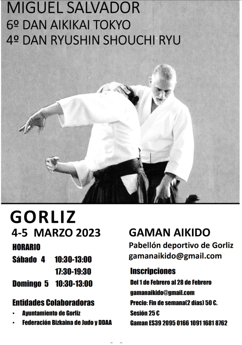 Noticia de Seminario de Aikido en Gorliz