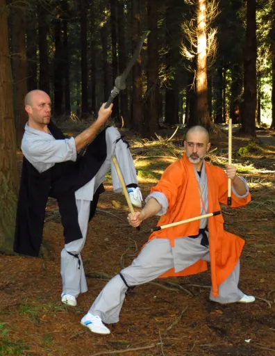 Dos personas practicando Wu Shu en un bosque
