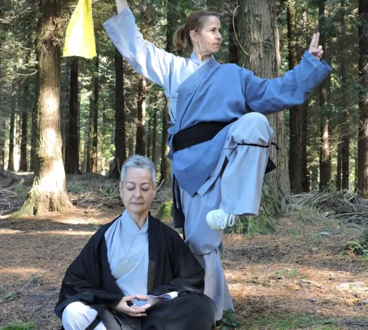 Beneficios del Wu Shu