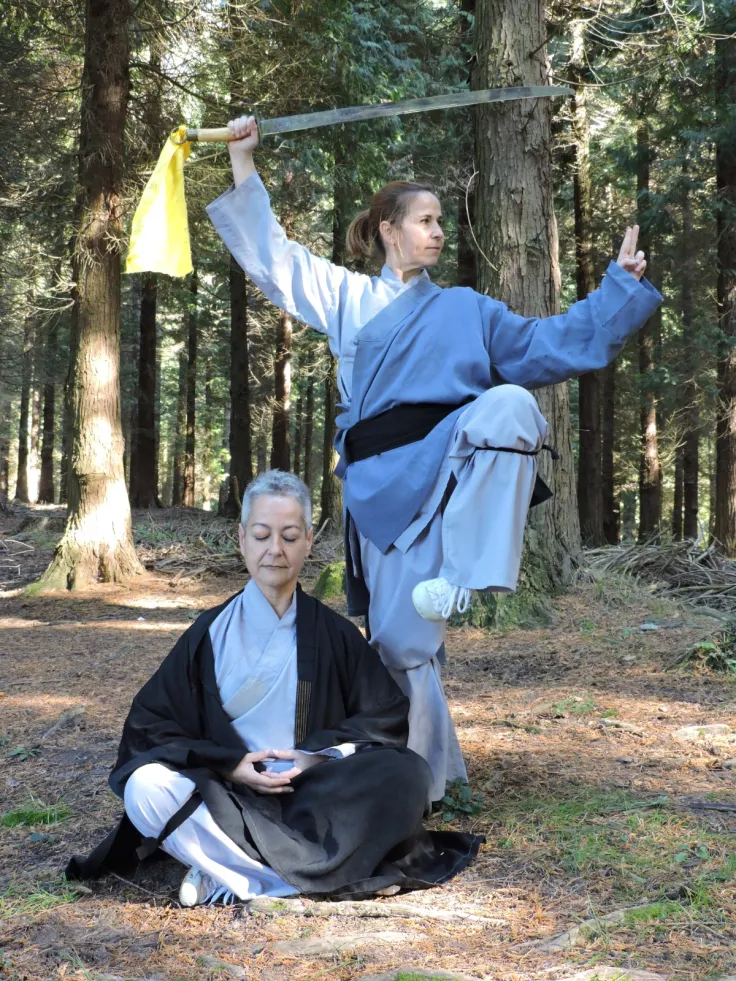 Dos personas practicando wushu en un bosque