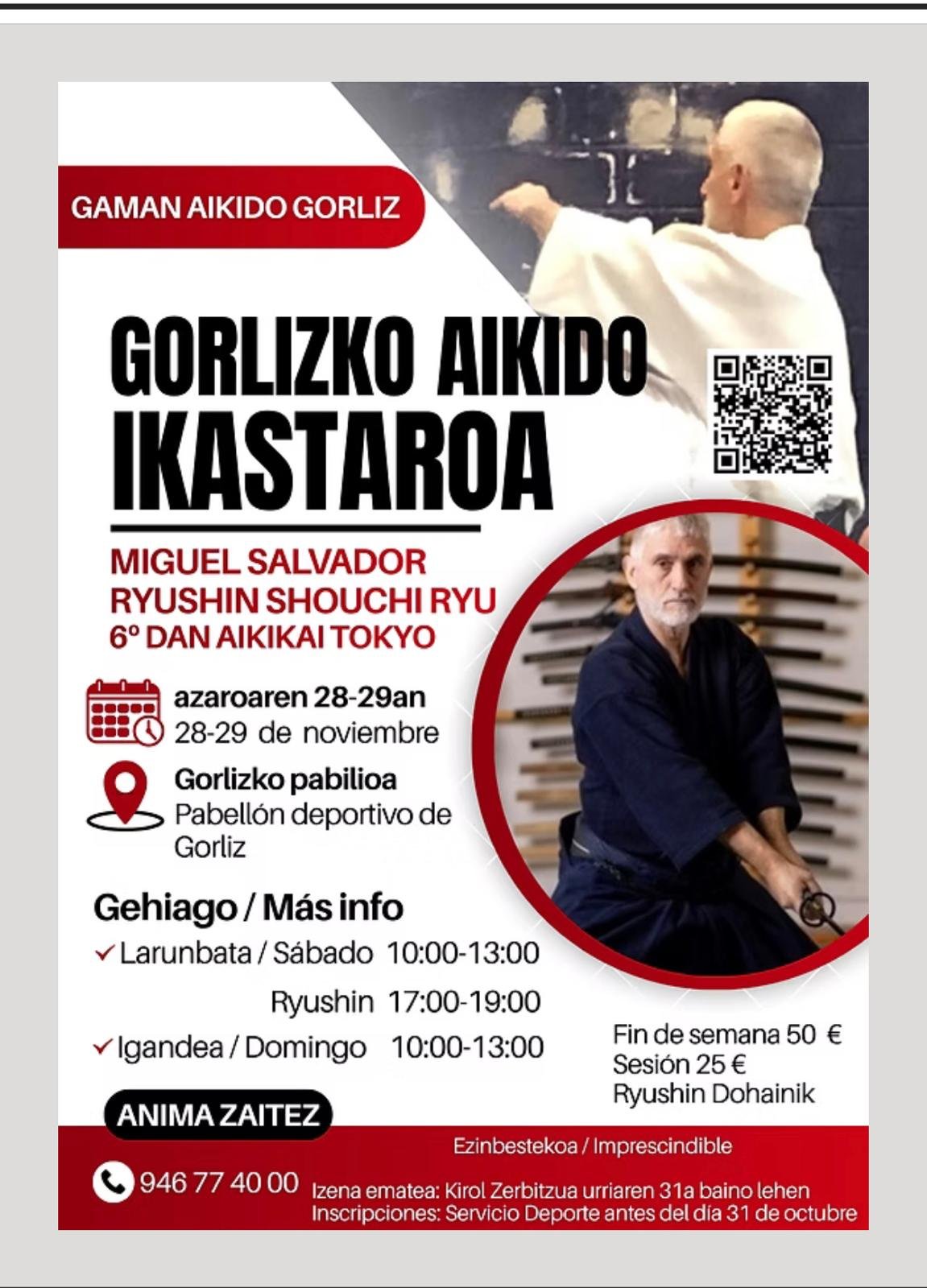 Curso de Aikido con Miguel Salvador en Gorliz · 28–29 noviembre 2026
